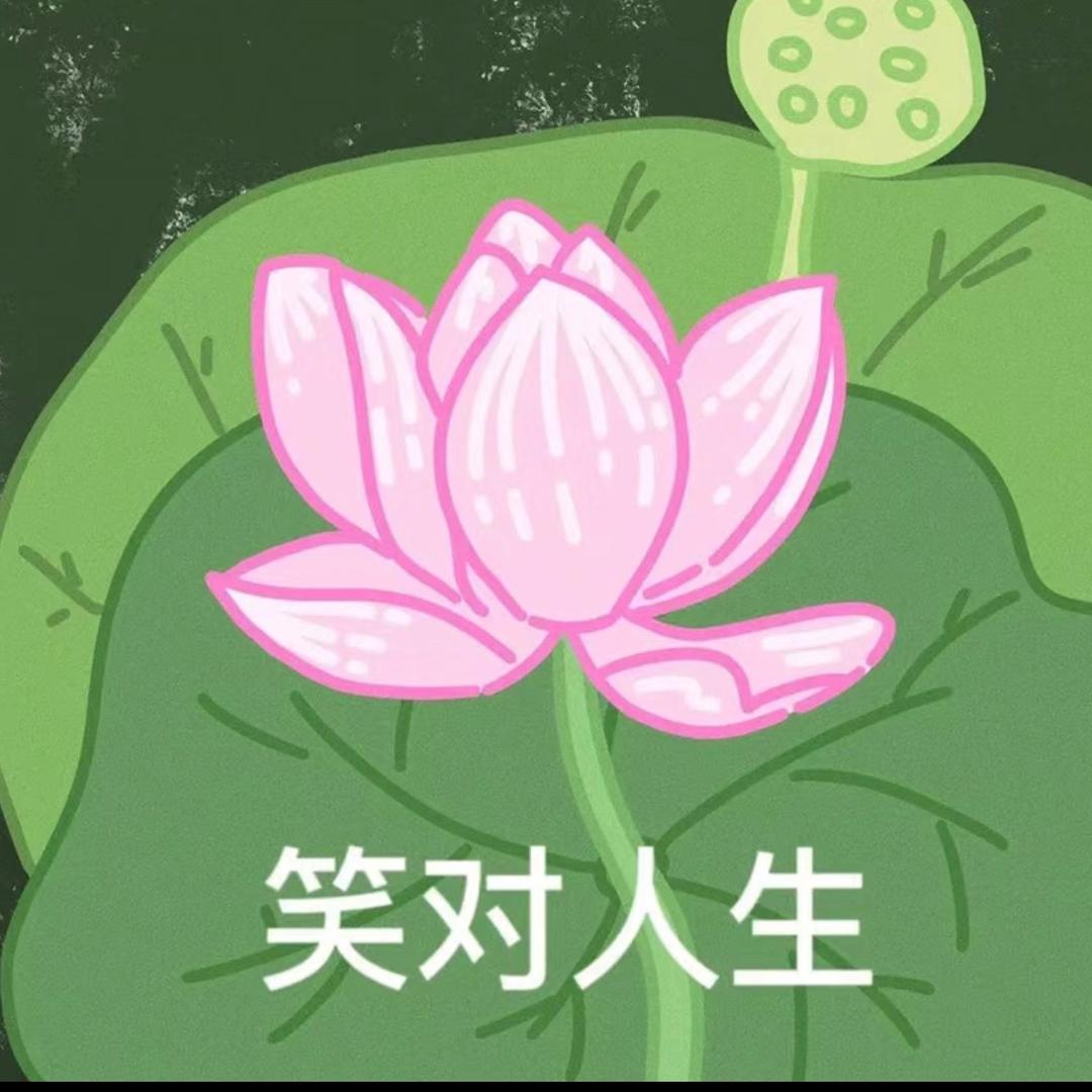 荷气生大财头像