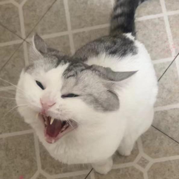 慢慢