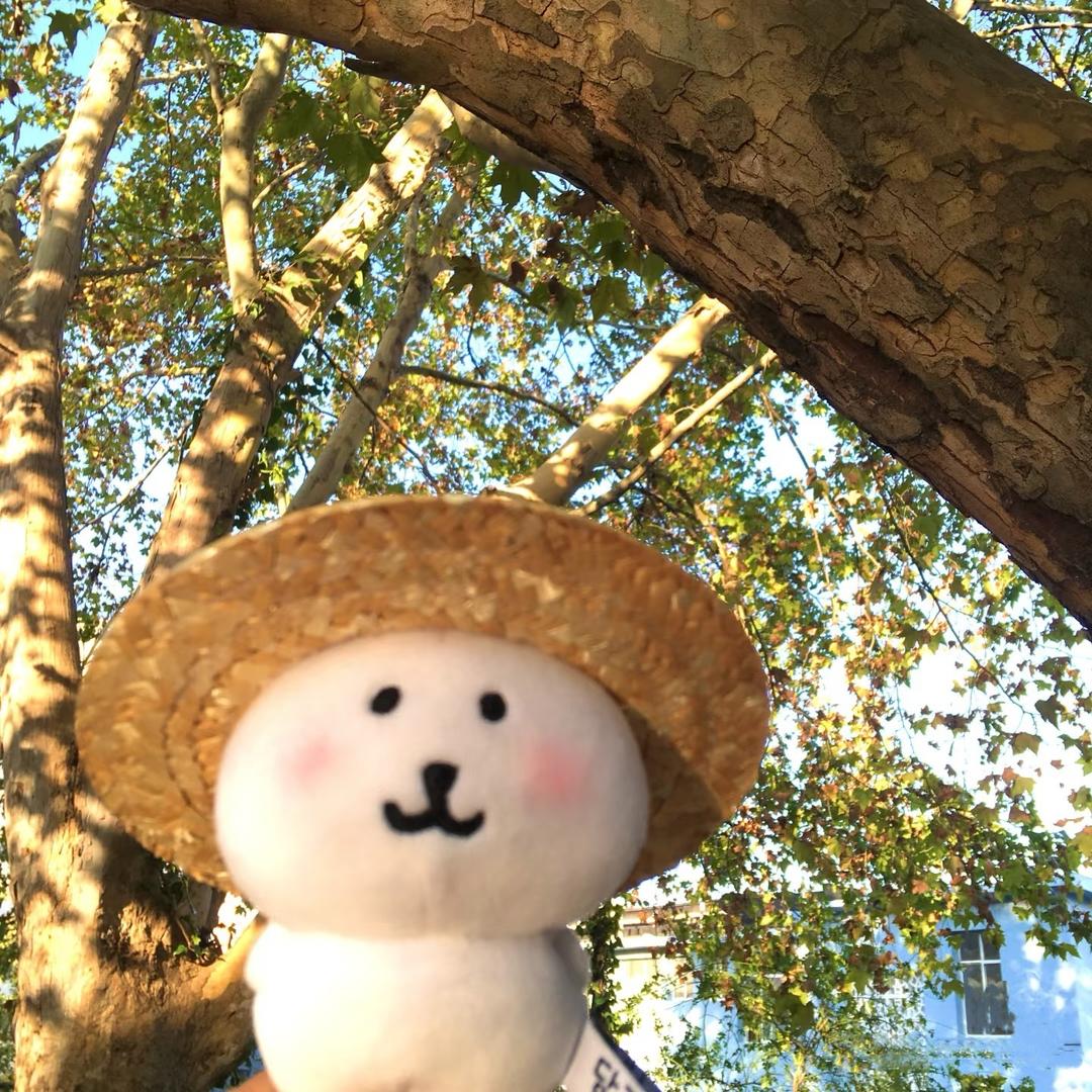 去海边挖土豆