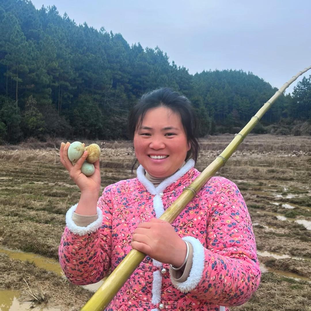 蛋蛋姐爱乡村店