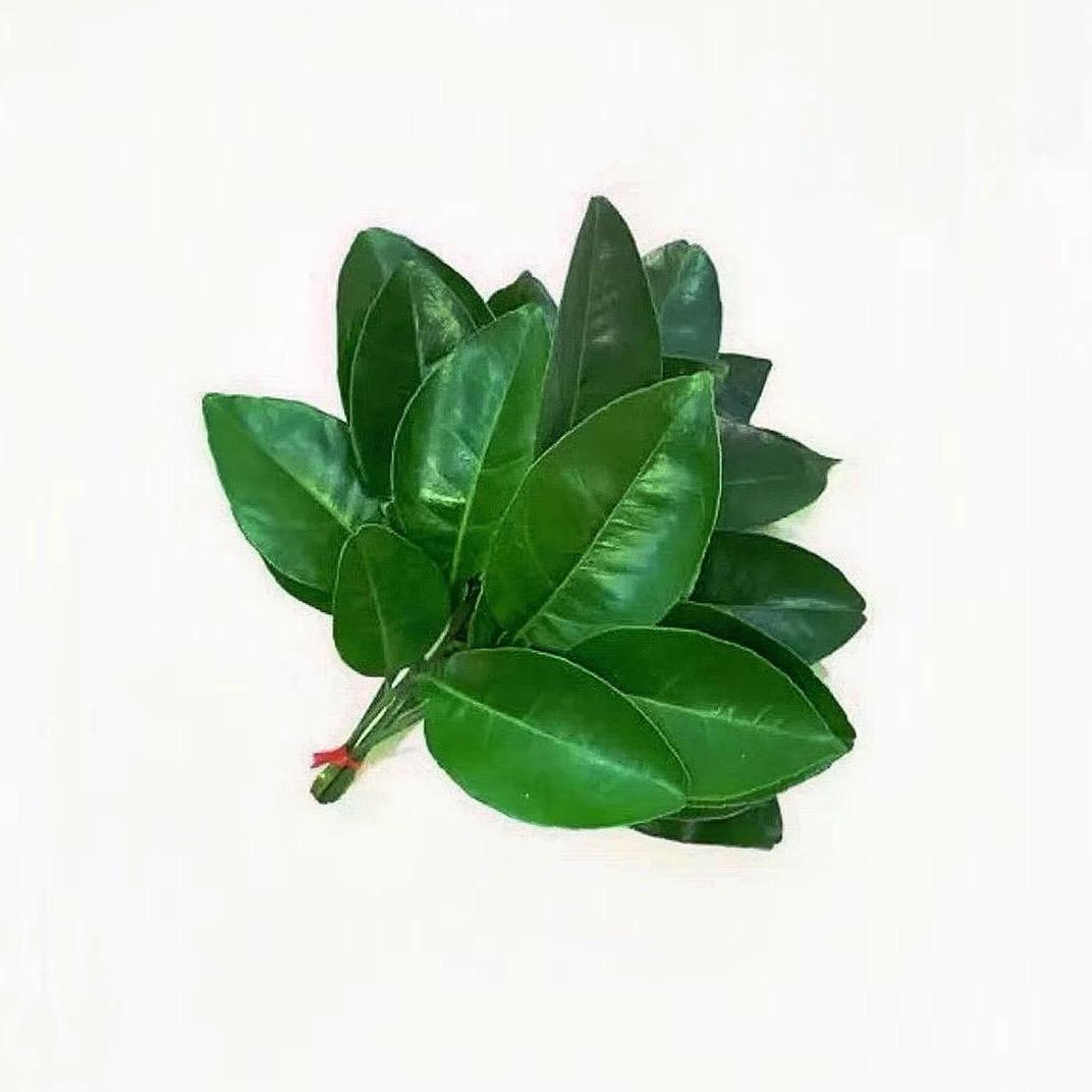 酸七果