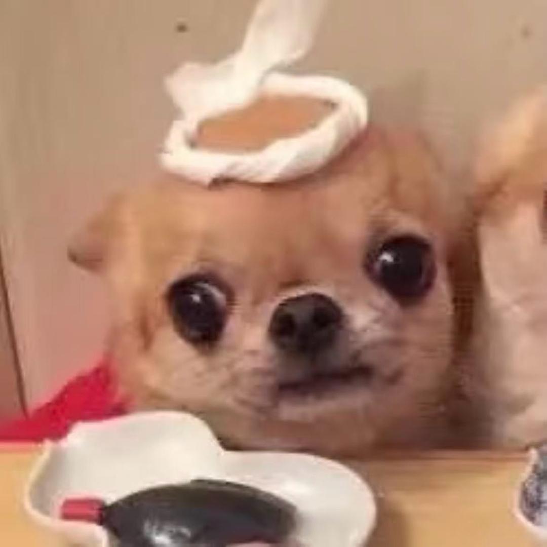 咬一口绘梨