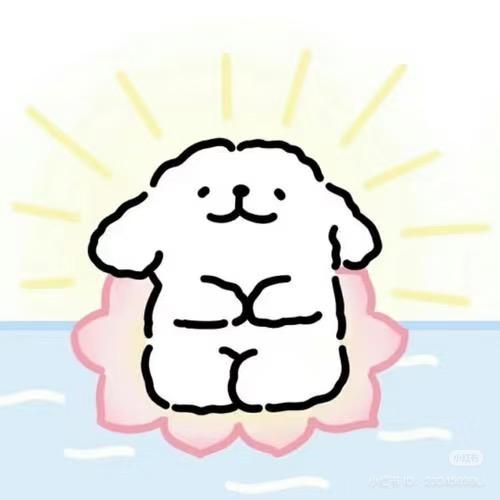从来不会学