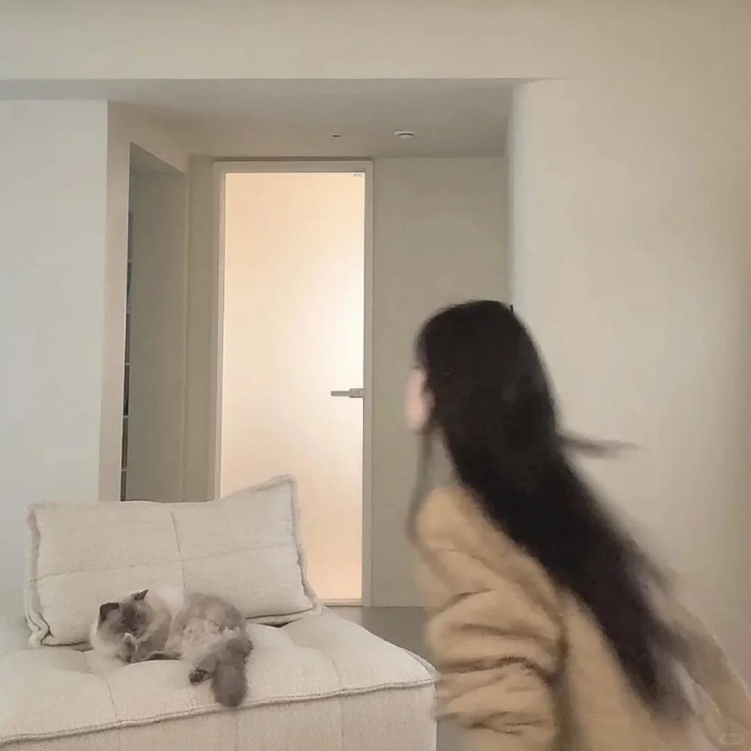 一只小小恬