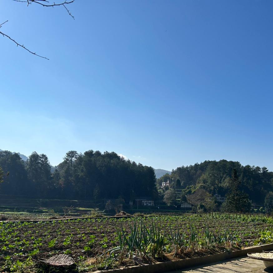 小趙