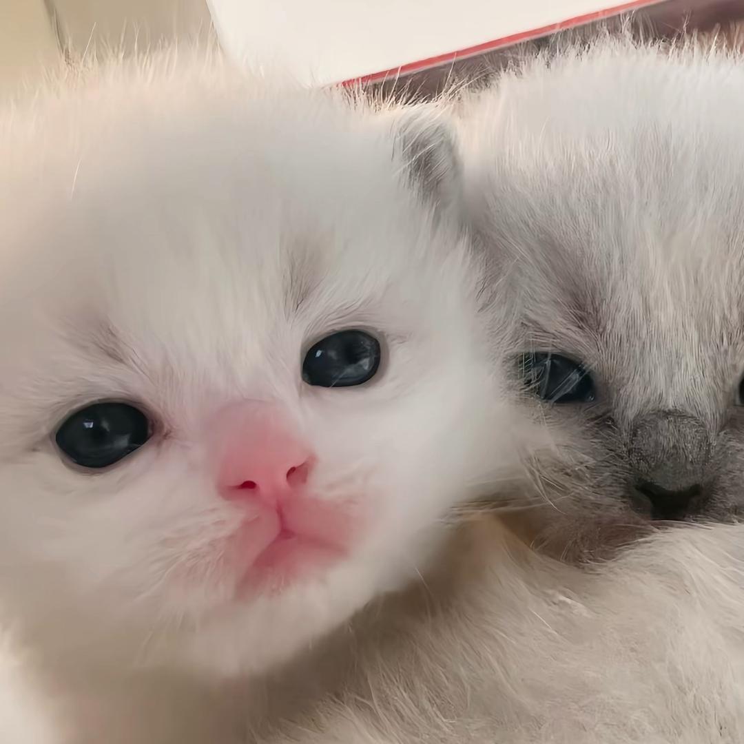 你咋了
