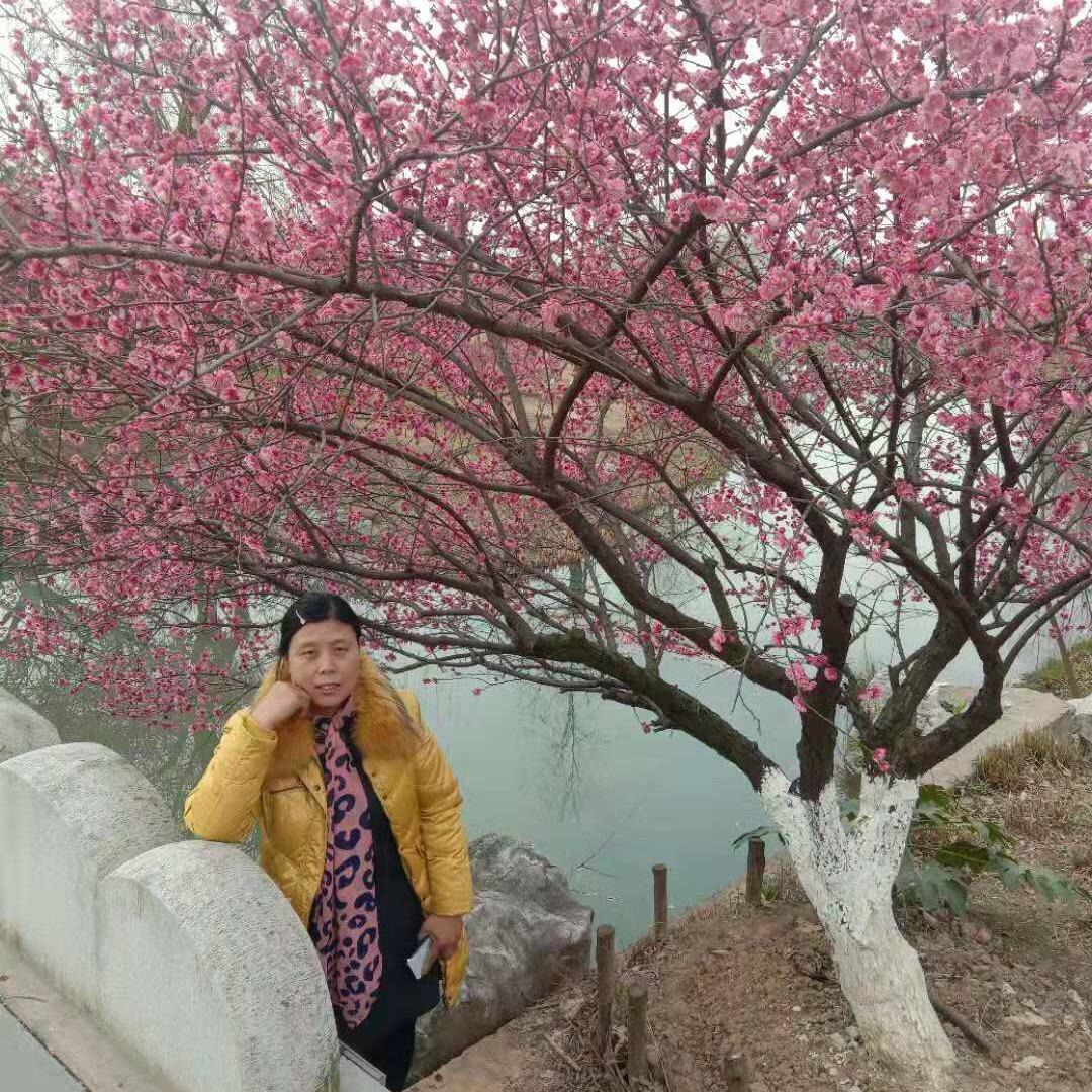 寂寞谎凉了归途