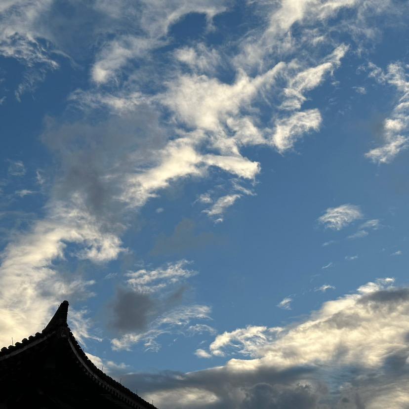 又菜又爱玩