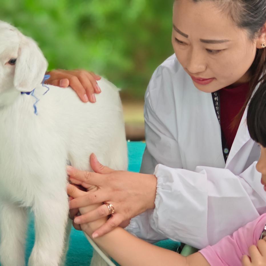 🐯芳玲鹿🦌语