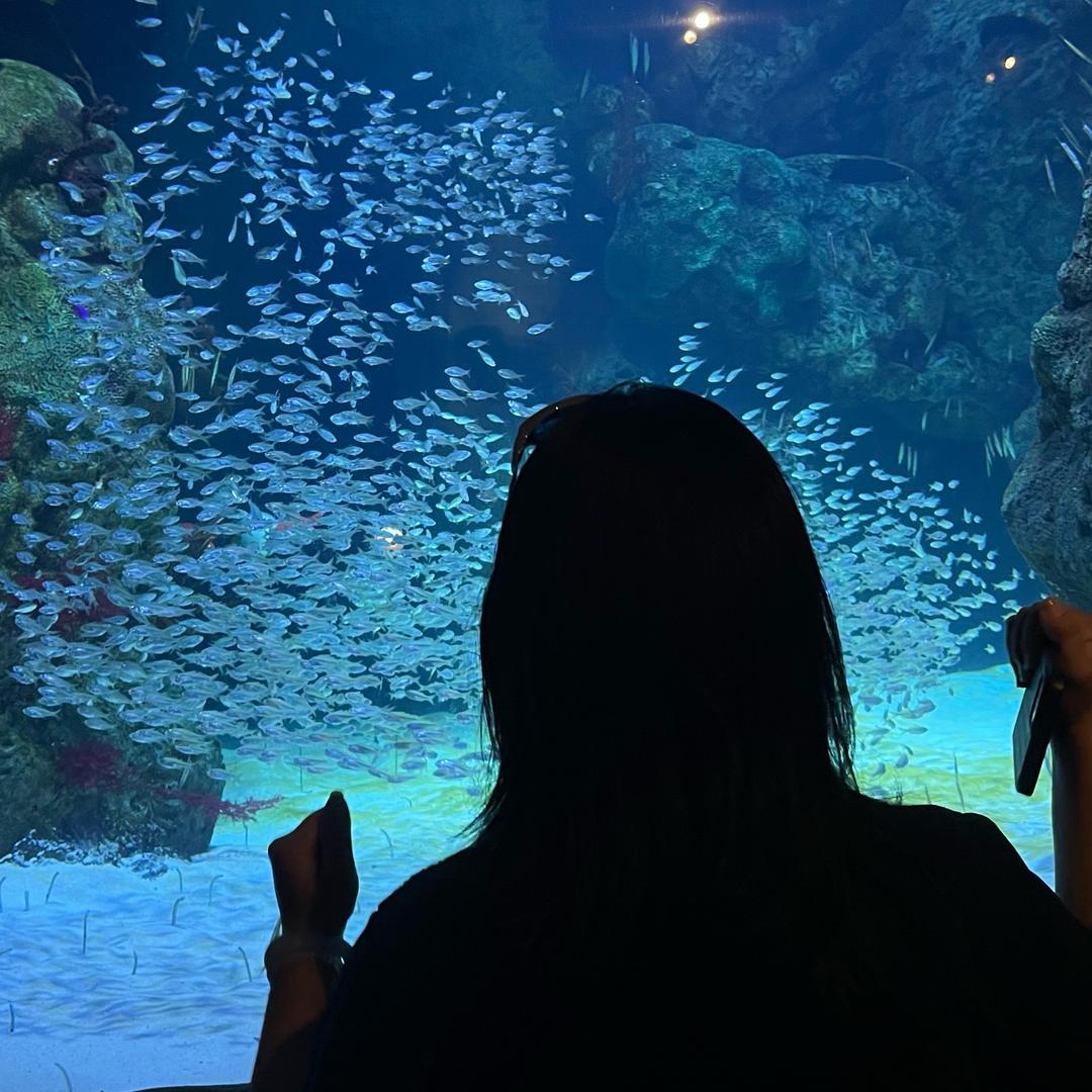 赵胖胖甄选（广佛零食仓供应链）