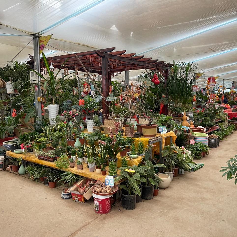 潍坊高新区千寻开心花卉店