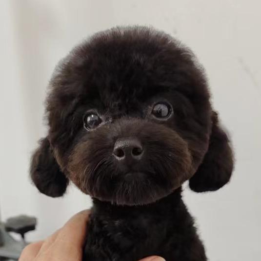 养热带鱼的小Lee