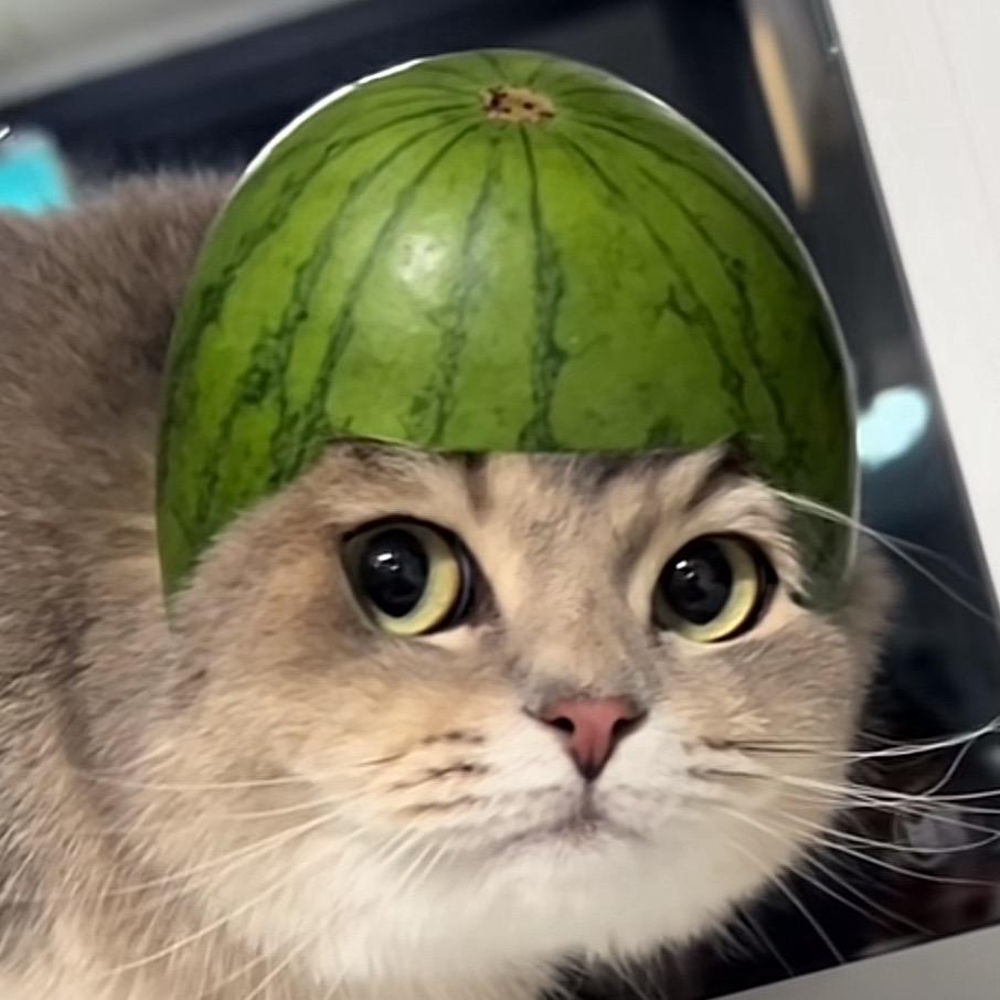 秋日暖阳