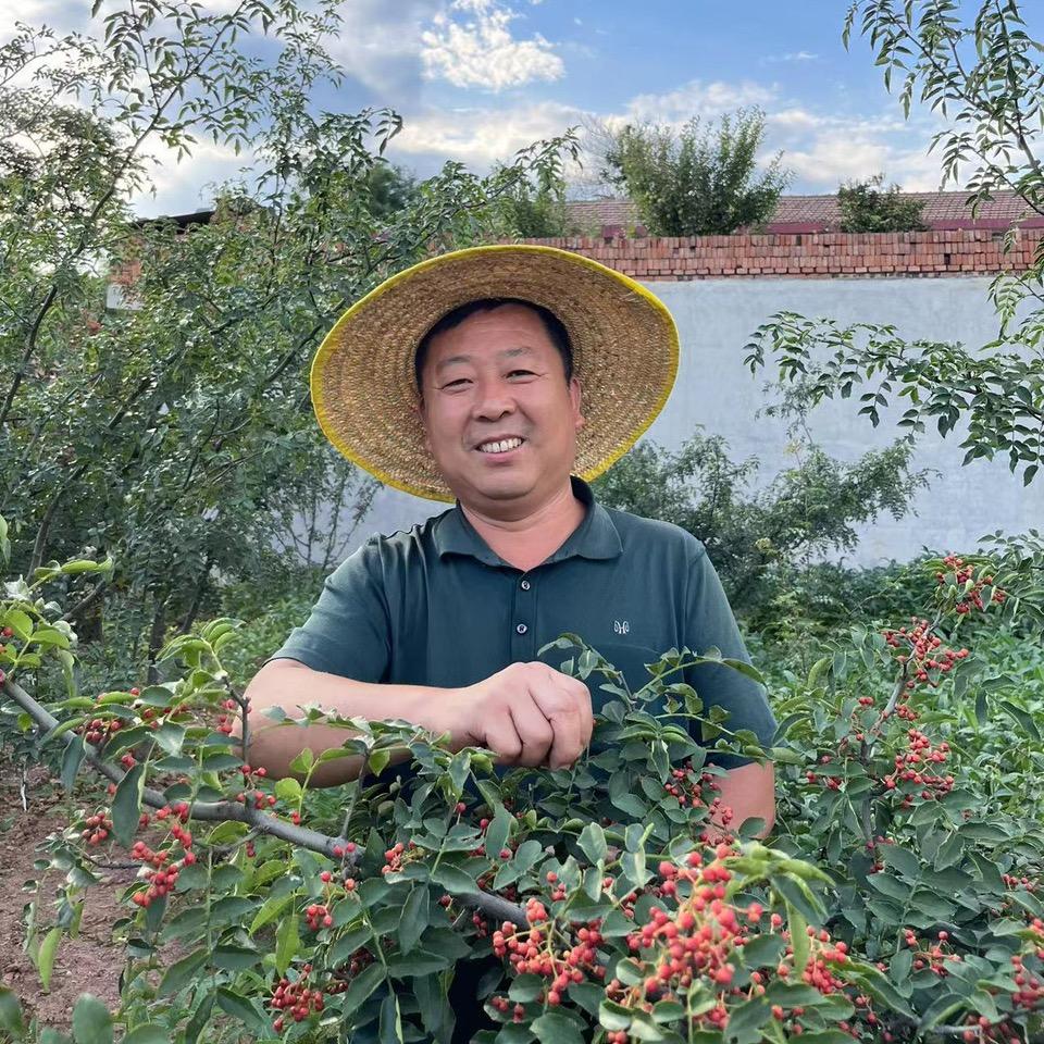 岗哥花椒