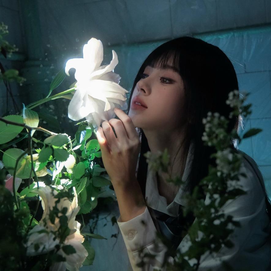 濛濛