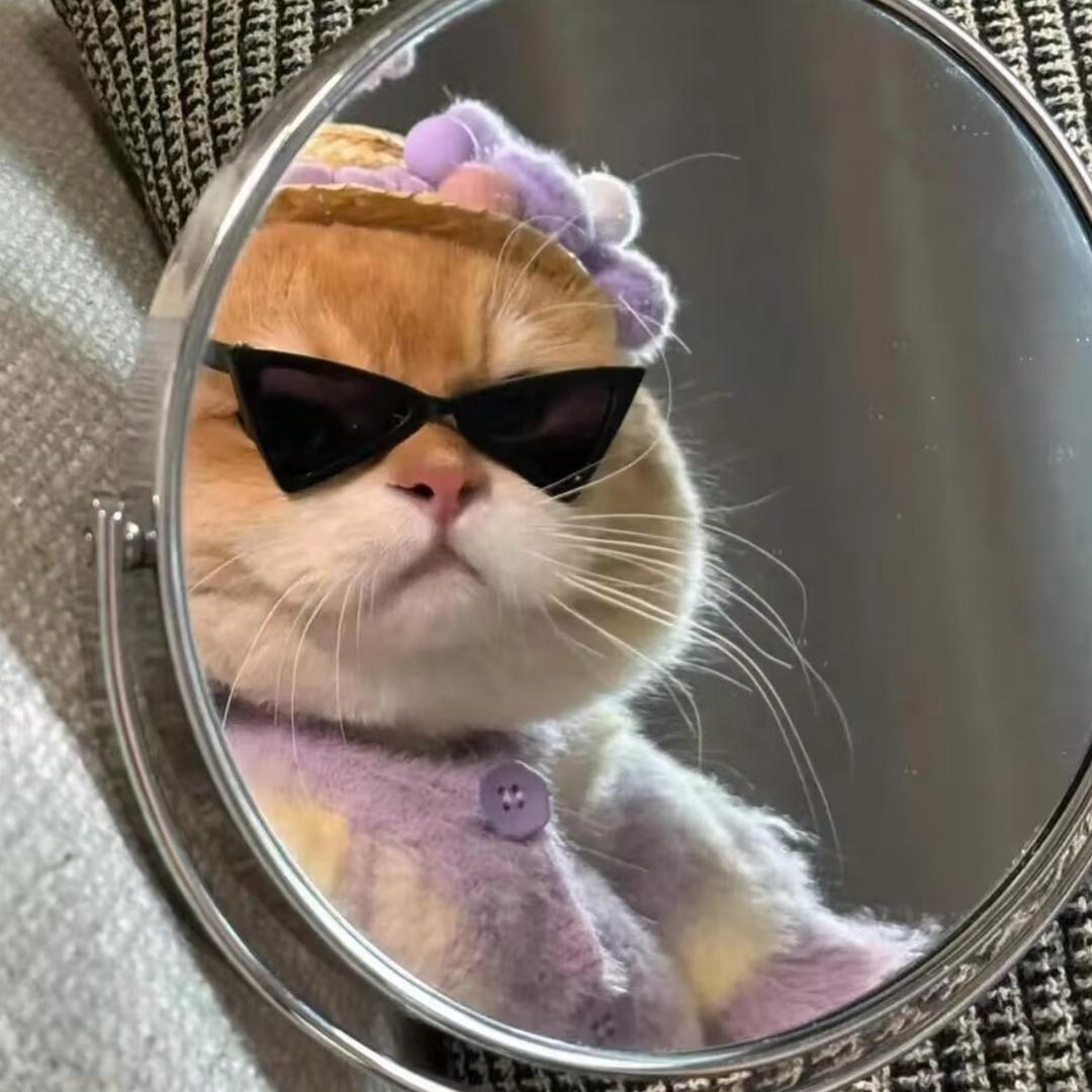 扶老奶奶闯红灯🚥