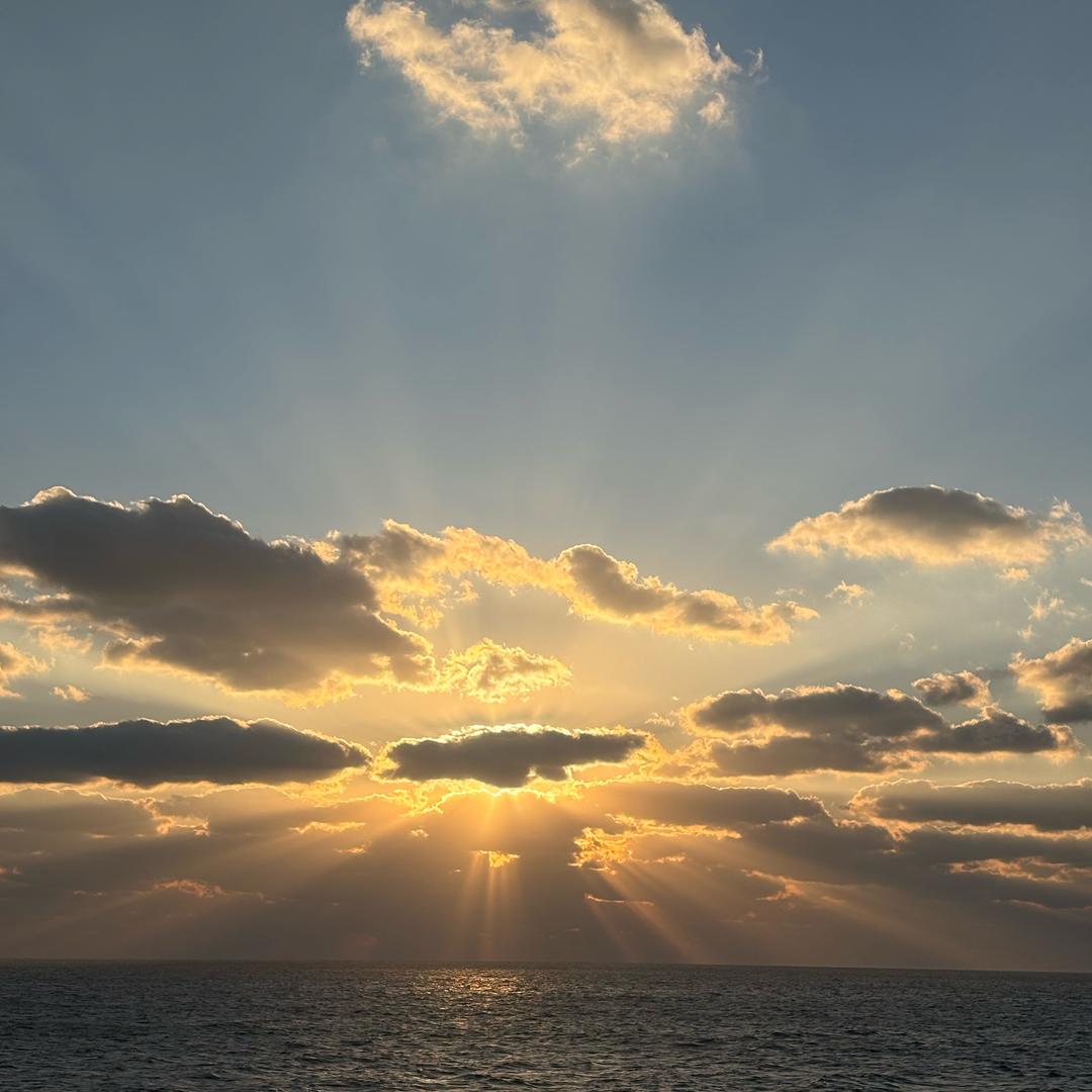 一只鸟 两棵树 三条路