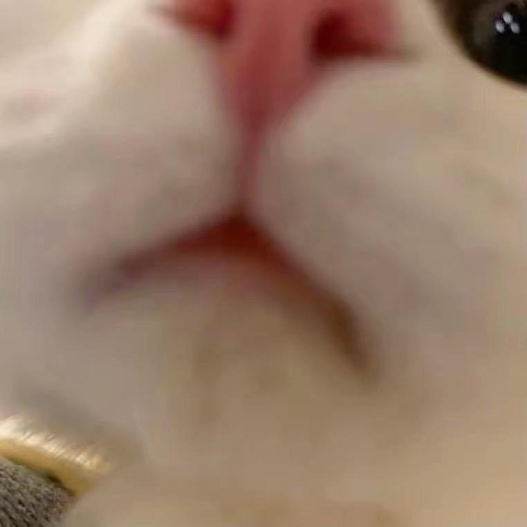 🇨🇳西游七七ouou