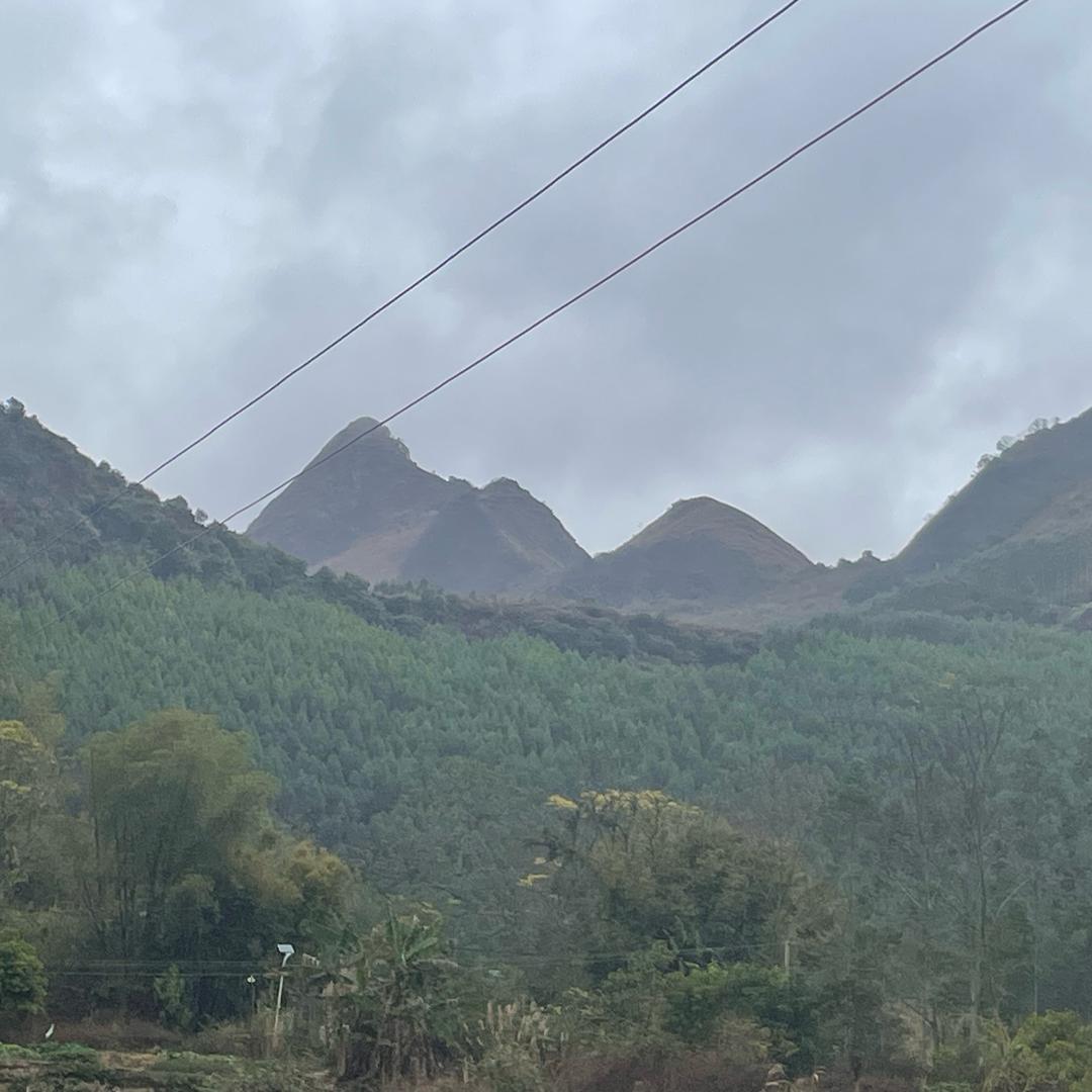 王道