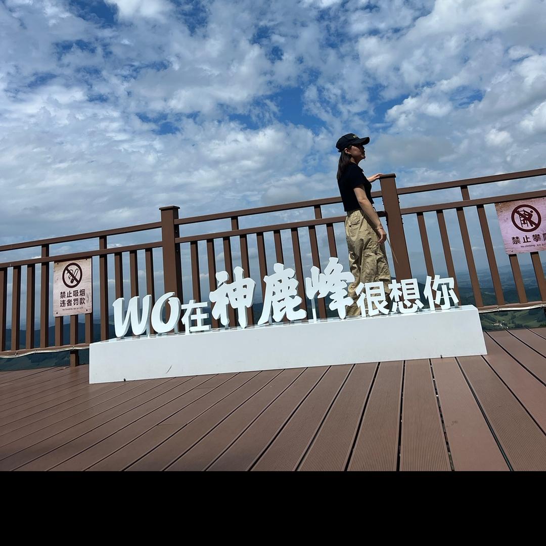 巷子里的🐱