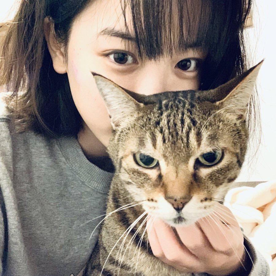 奈奈肉