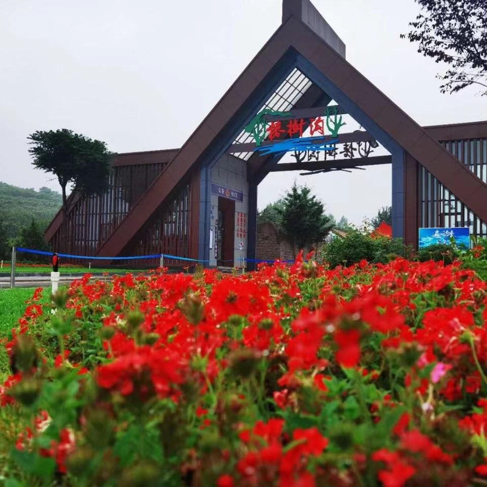 椿树沟旅游风景区