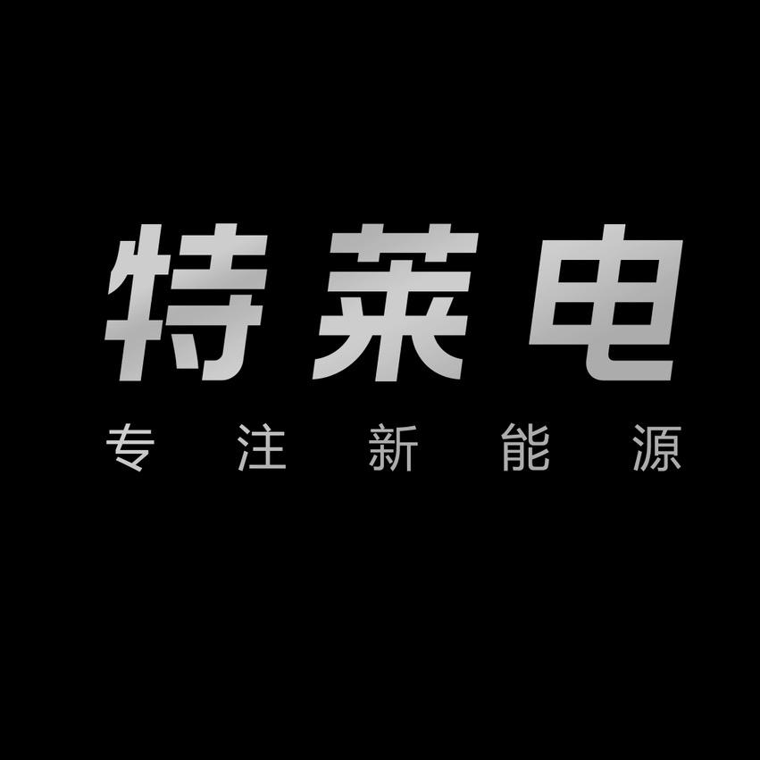 特莱电新能源延保