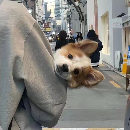 ㅤ  ㅤㅤ ㅤㅤ  ㅤ