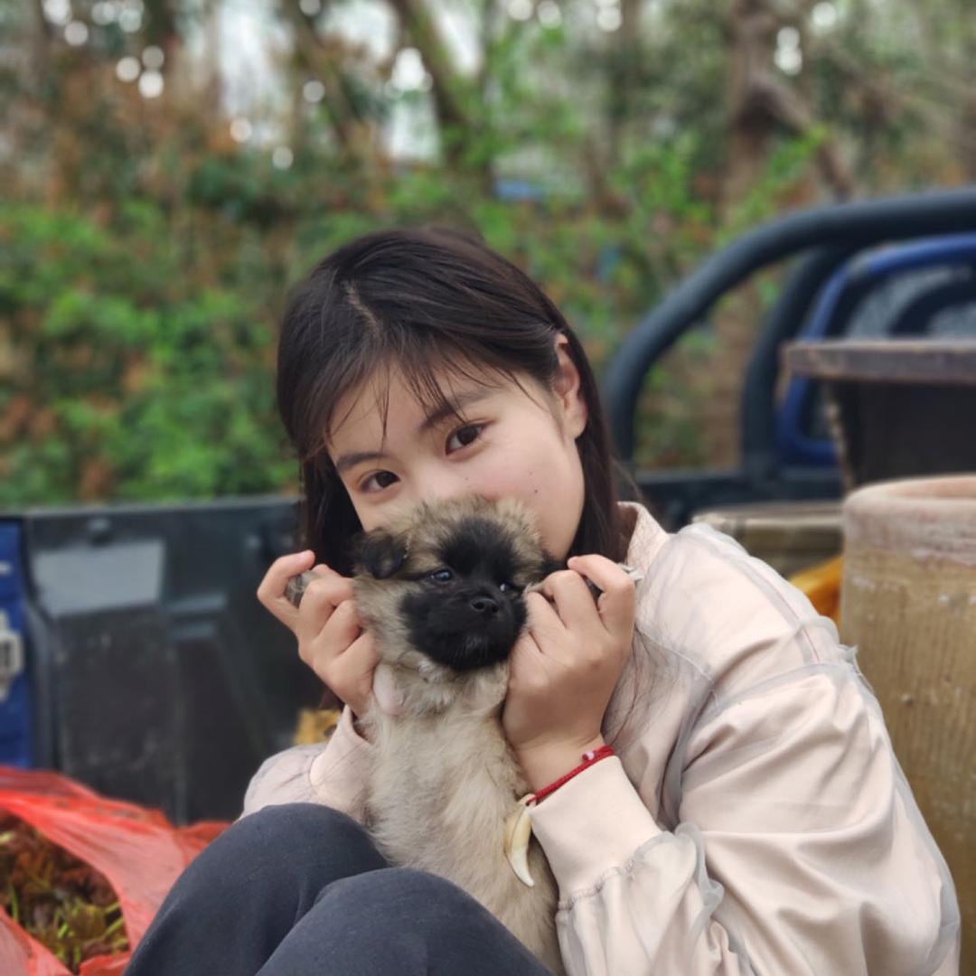 张莉🌺