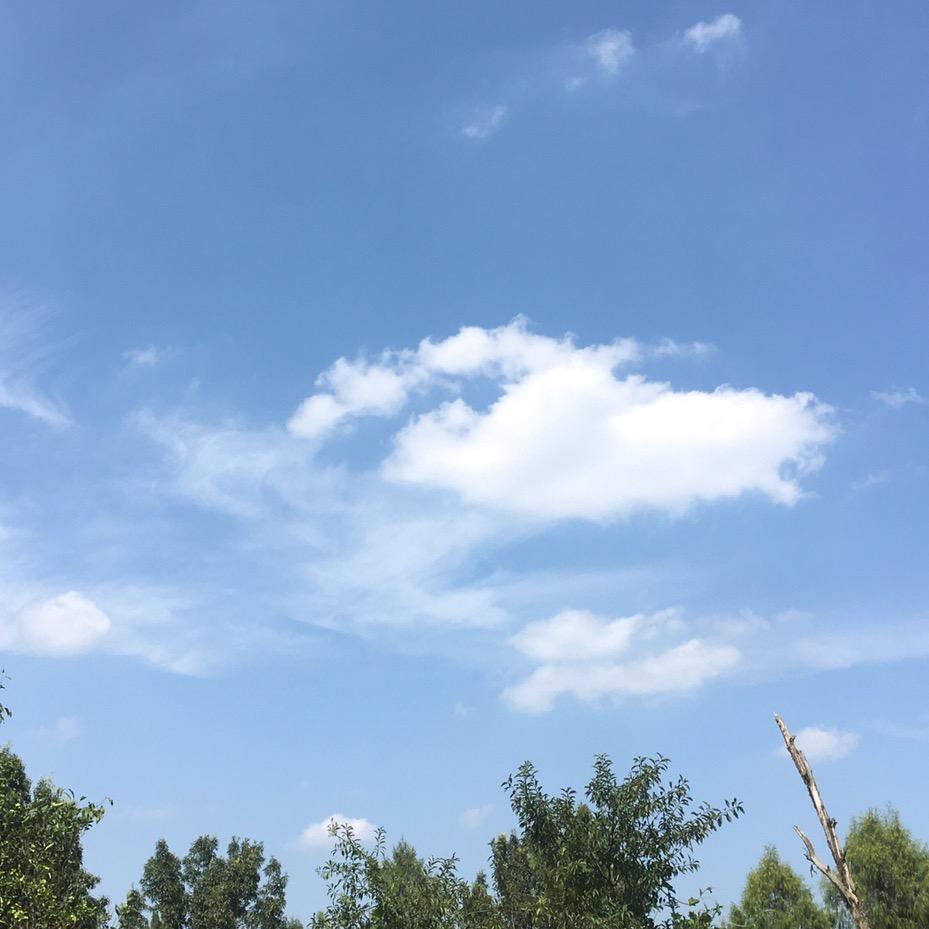 紧张的老腊肉