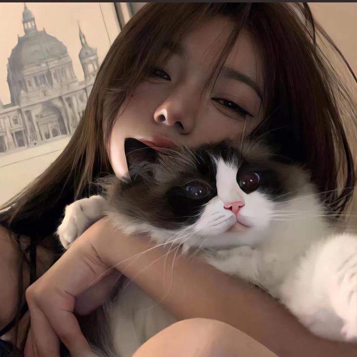 七七七猫