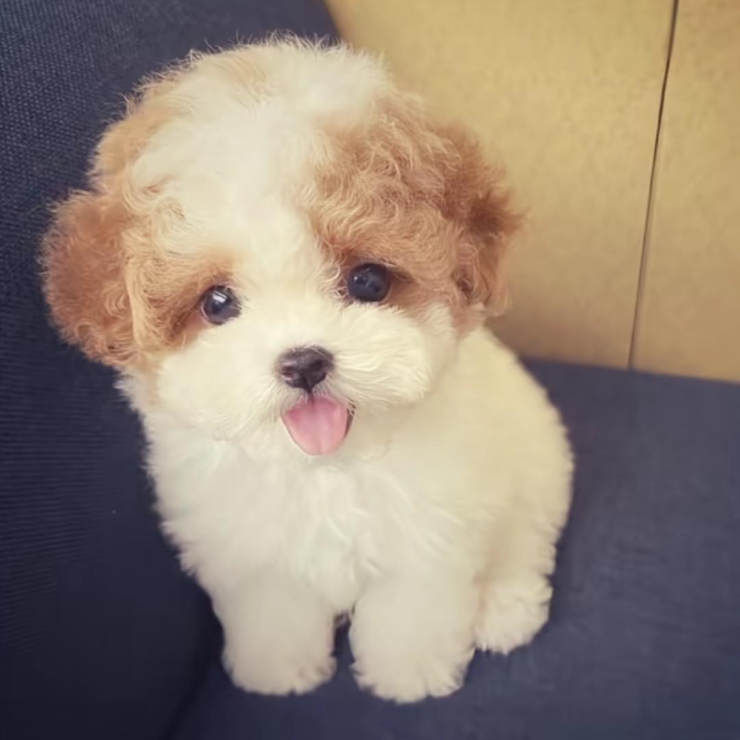 我是左眼
