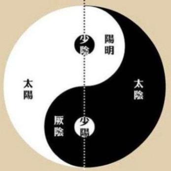 十一师妹