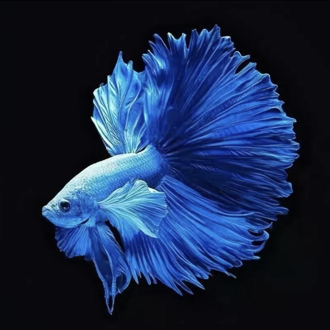 沁恒穿搭不一般