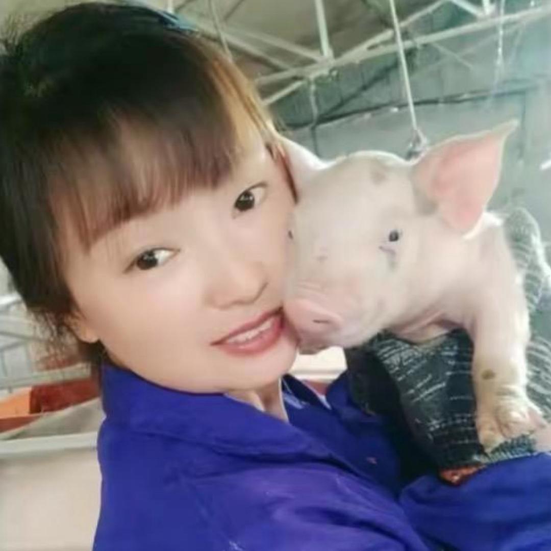 四川养猪妹