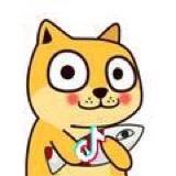 @林🐾