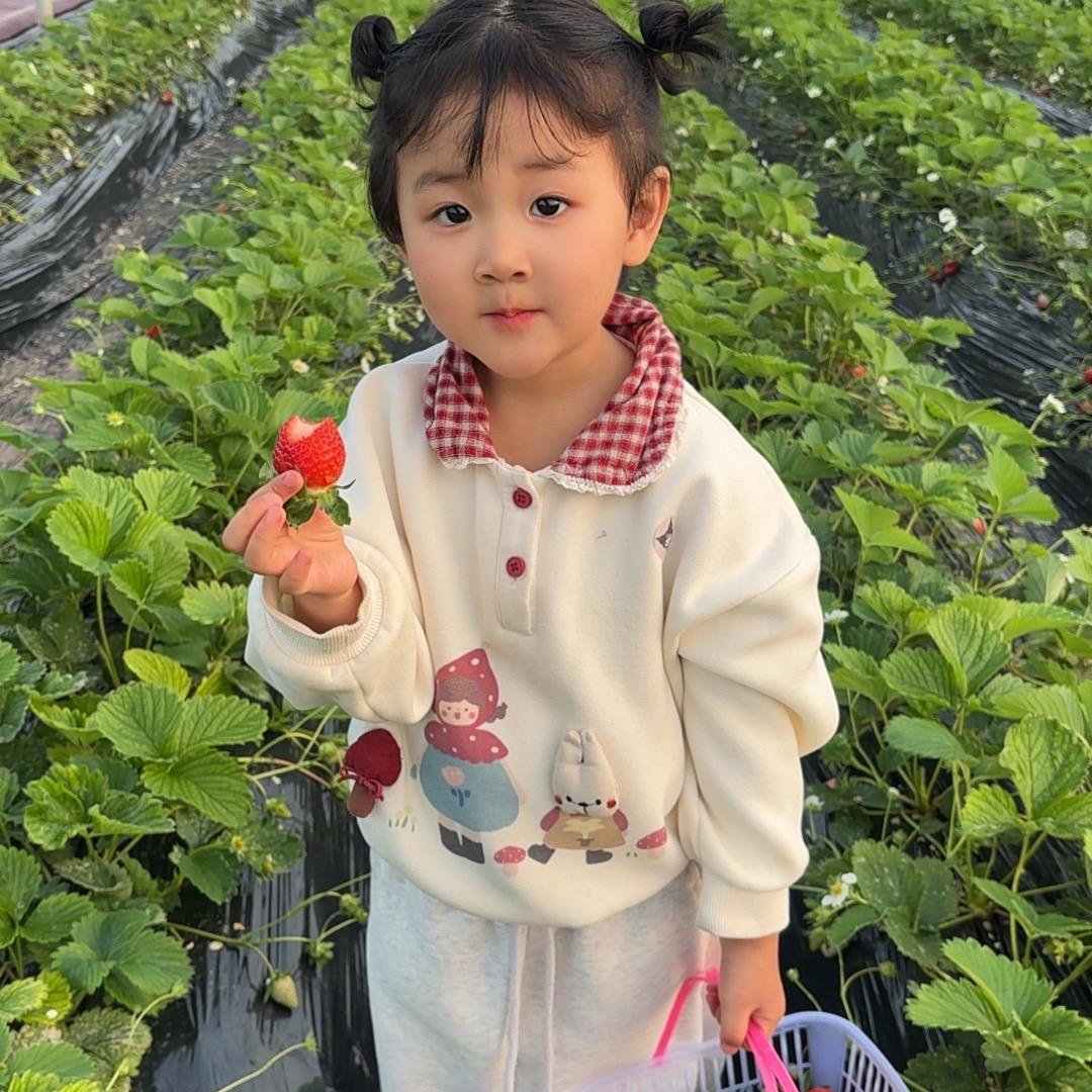 南山草莓园·鑫鑫