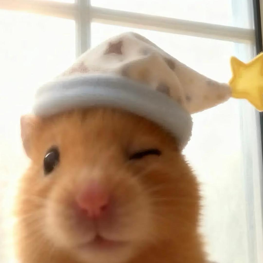 ︅ ︅ㅤ ︅︅ ㅤ