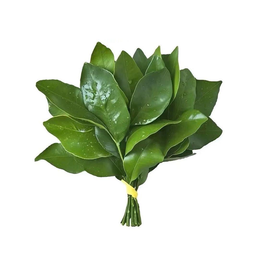 。。。。