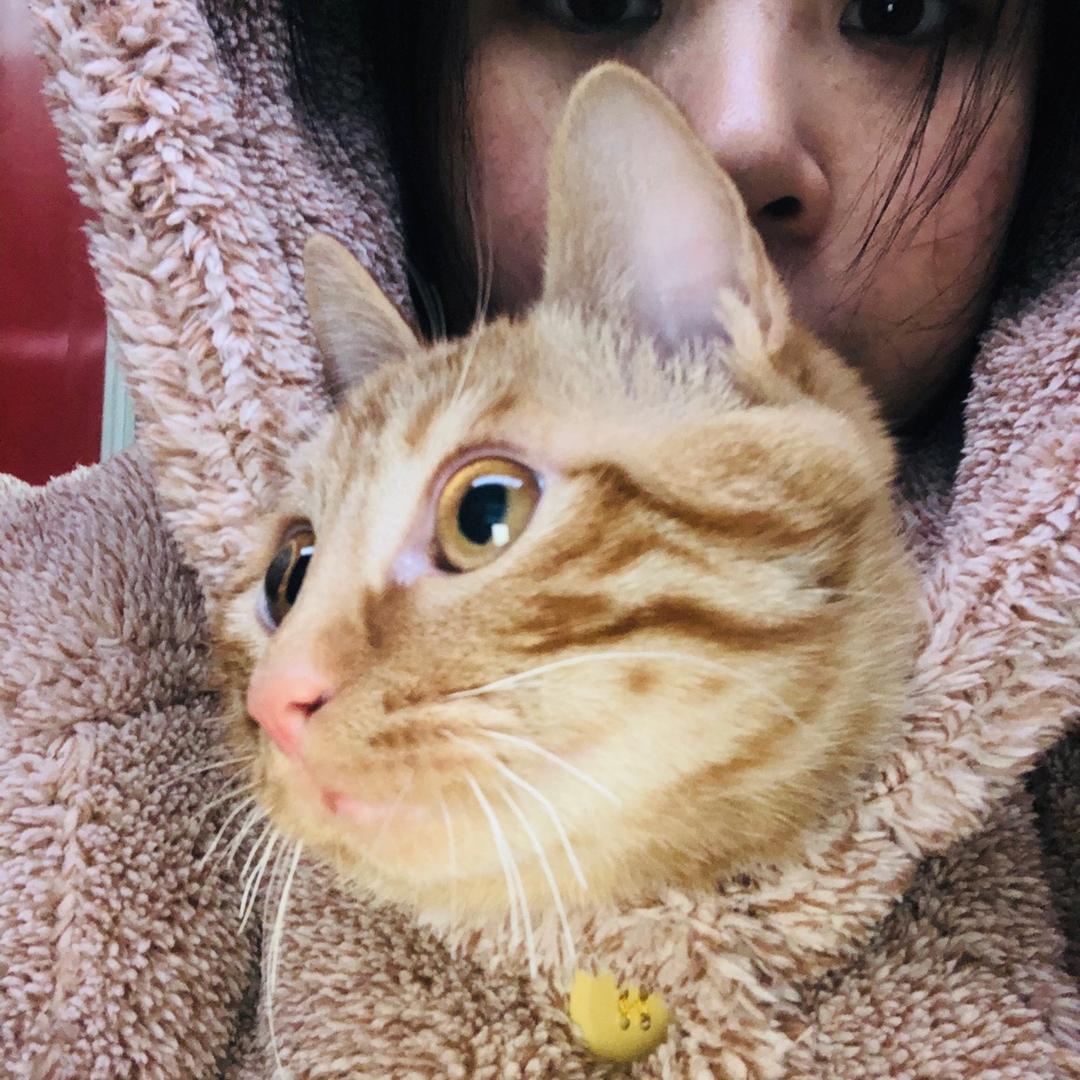 头小肚肚大