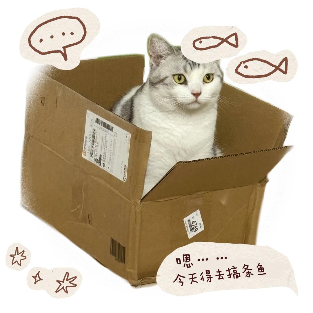 小云鹰