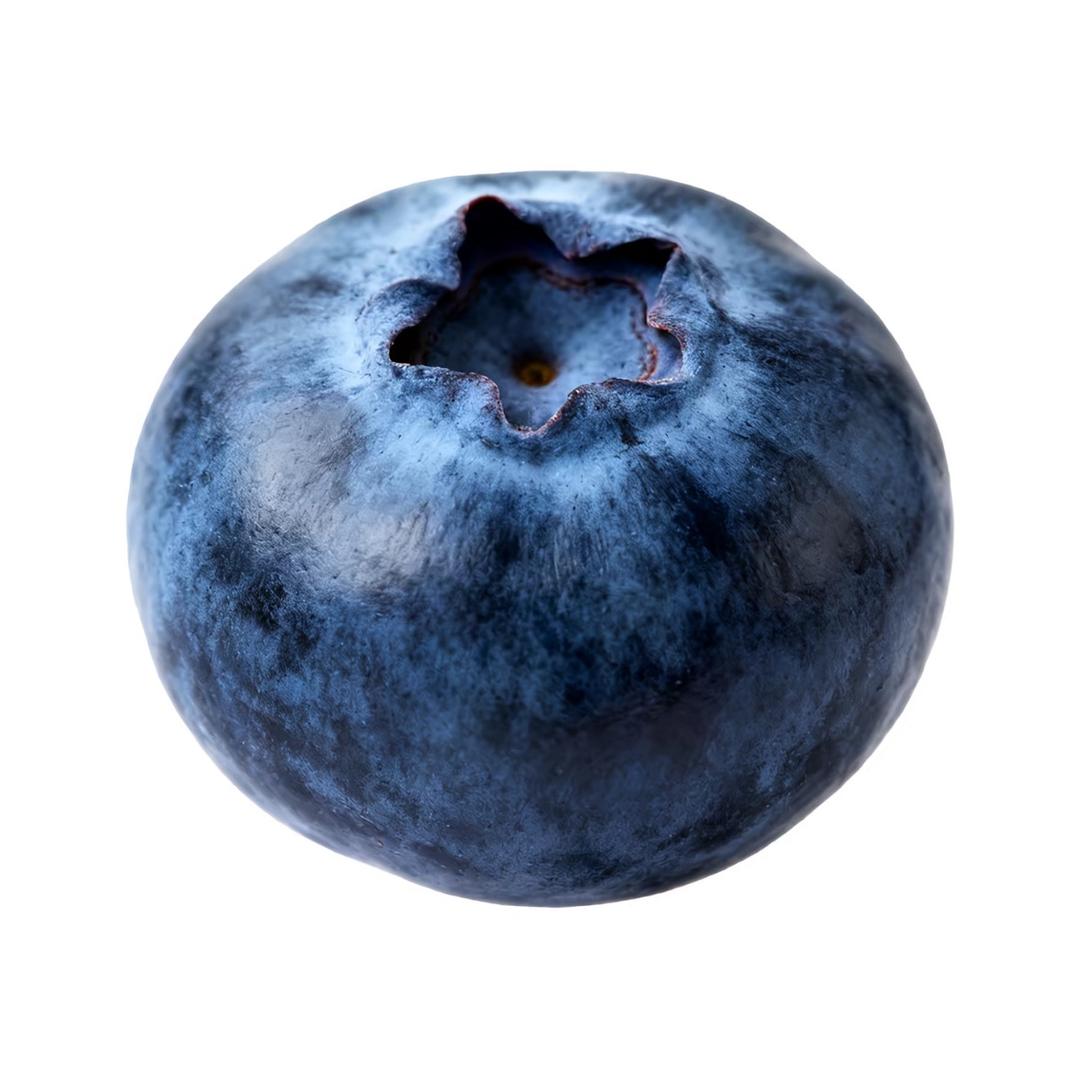 蓝莓