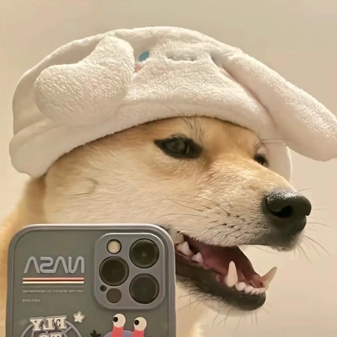 大大怪
