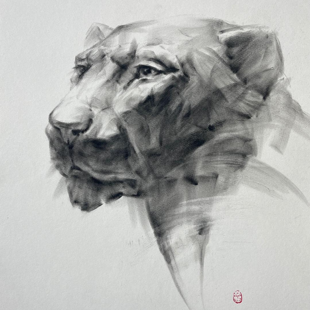 醒了就画