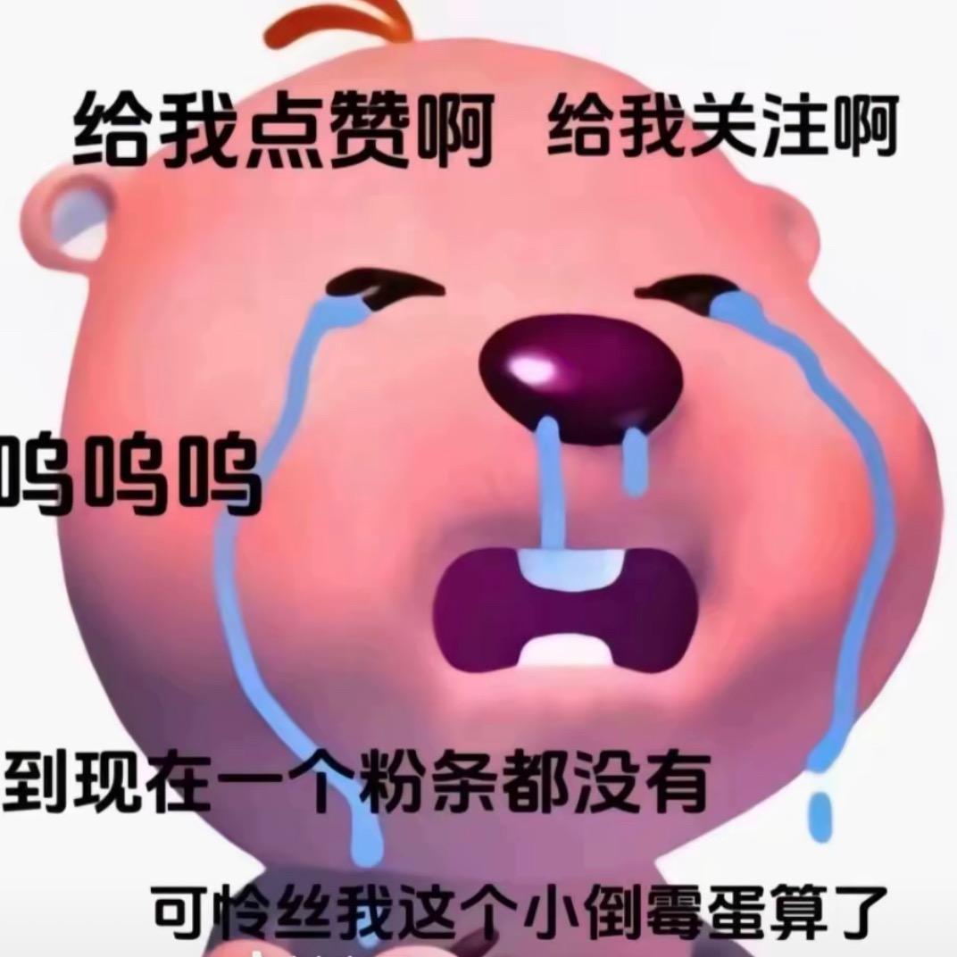 一只安静的二哈