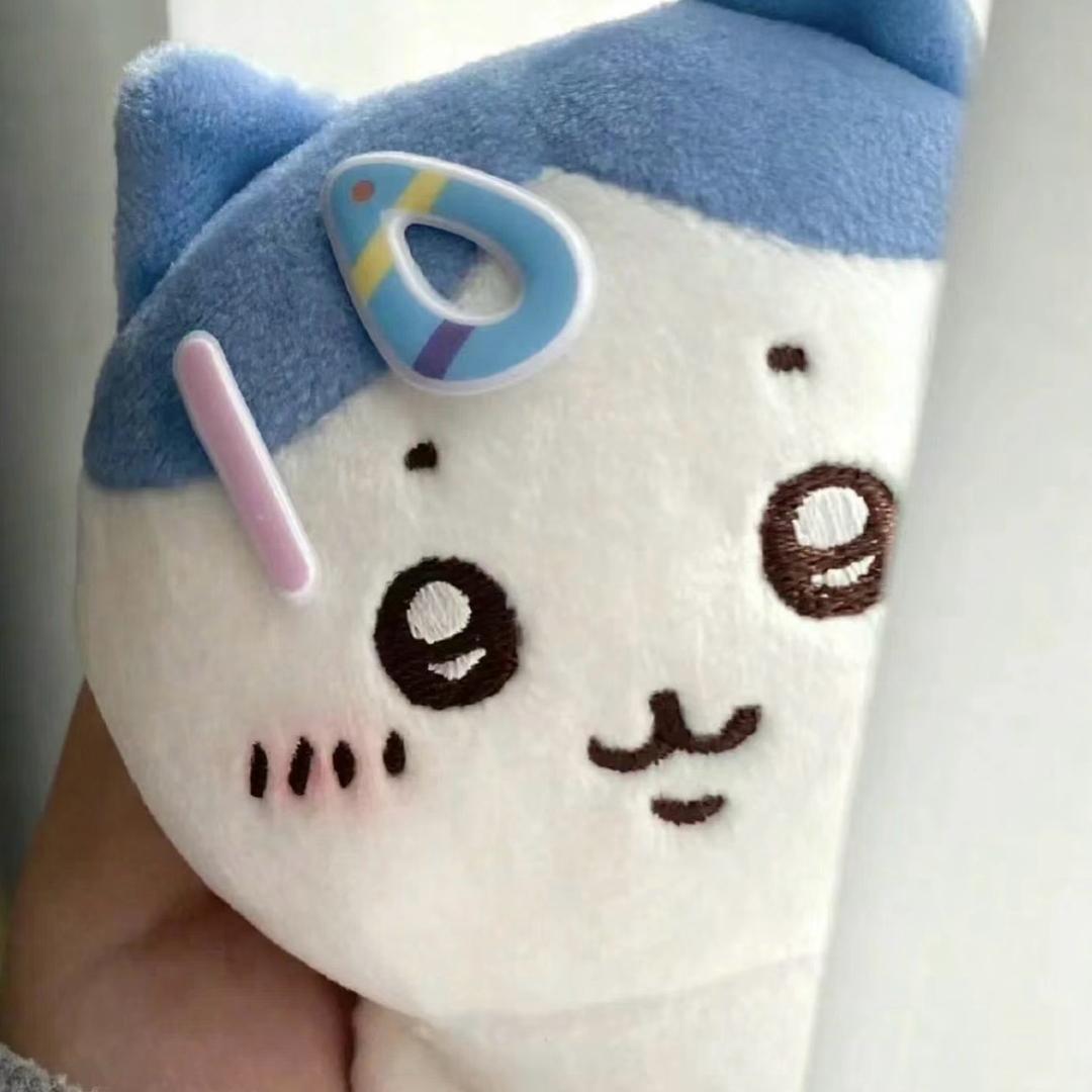 怀怡