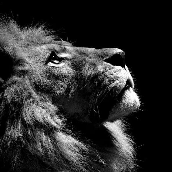 萧帮豪车租赁（杭州）