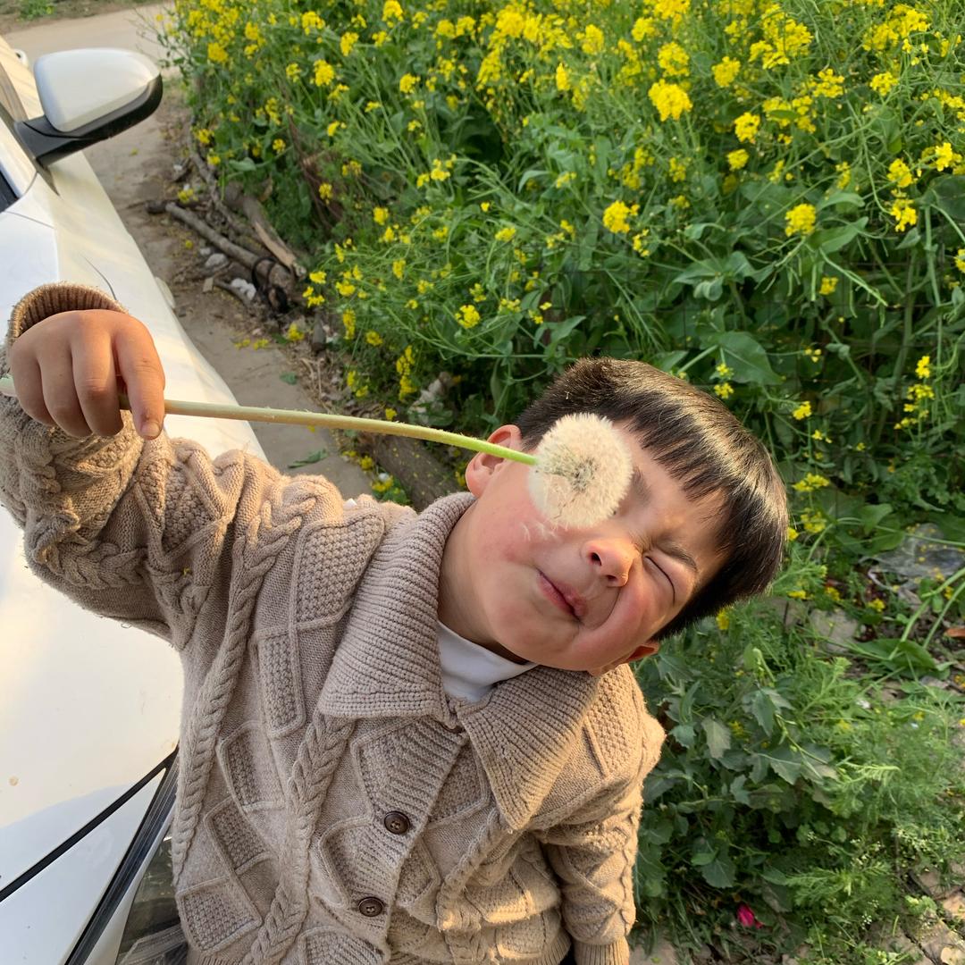 皮皮不调皮（幼儿园）