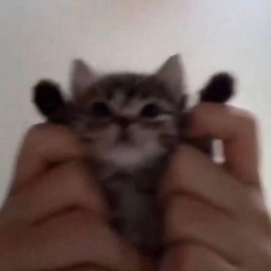 林林.