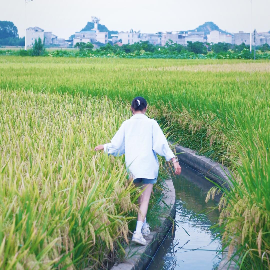 会发财的🌸🌸